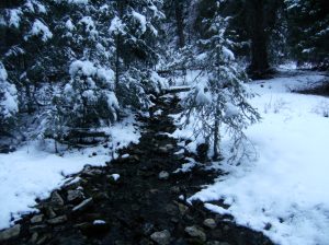 I'm the first of 7 springs