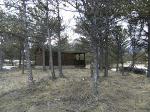 After pruning.  Cabin is now visible. Deer will love this!
