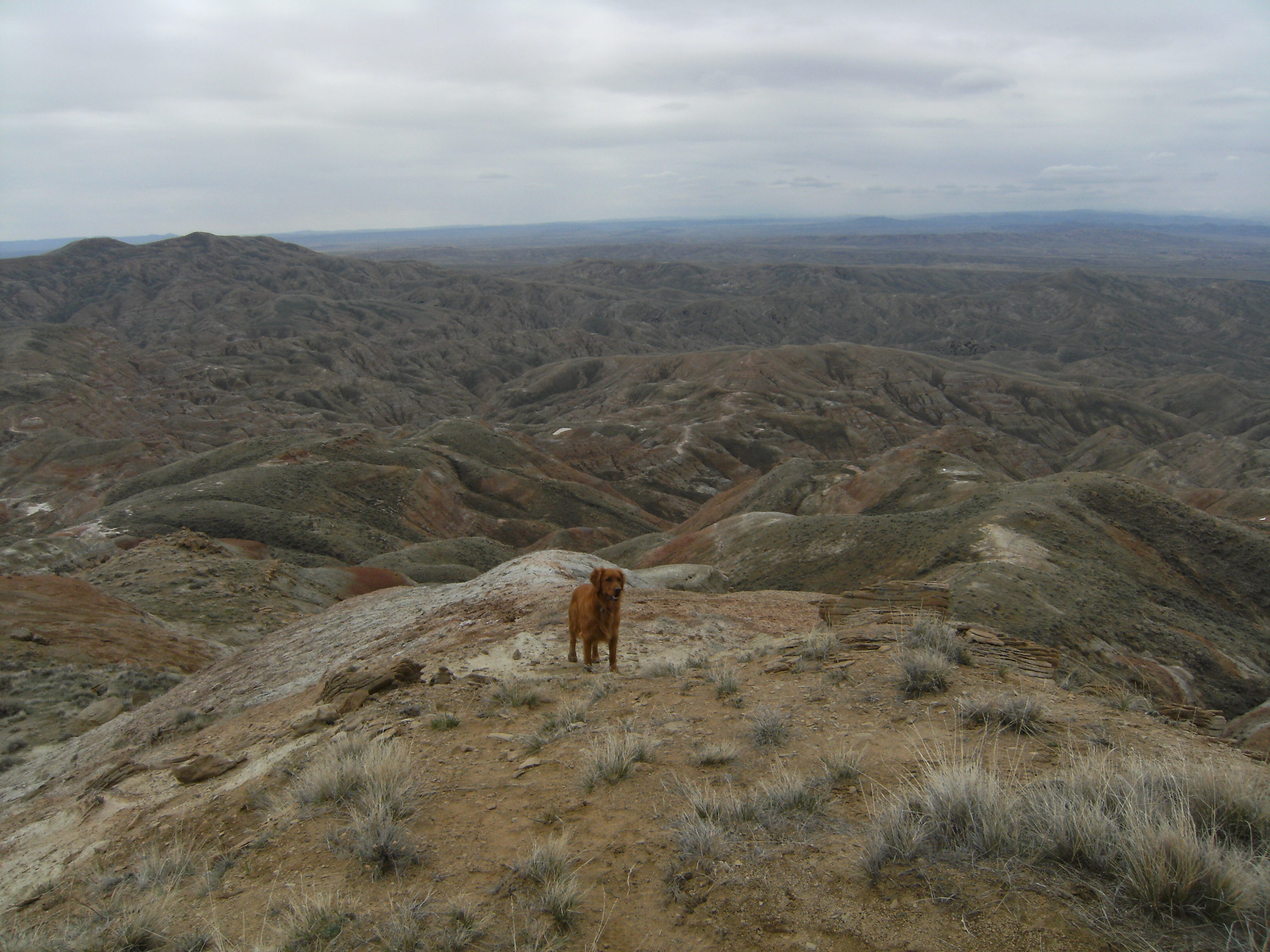 View from the peak looking east