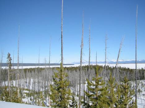 Our idea of wilderness is non-use.  Looking east across Yellowstone lake in winter