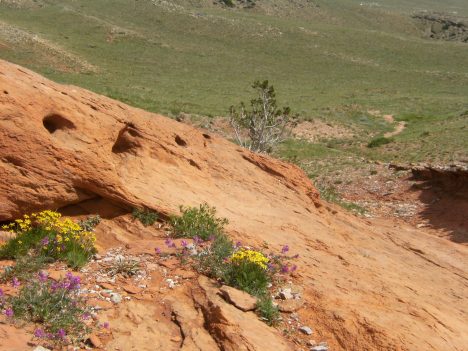 Nature landscapes the best!