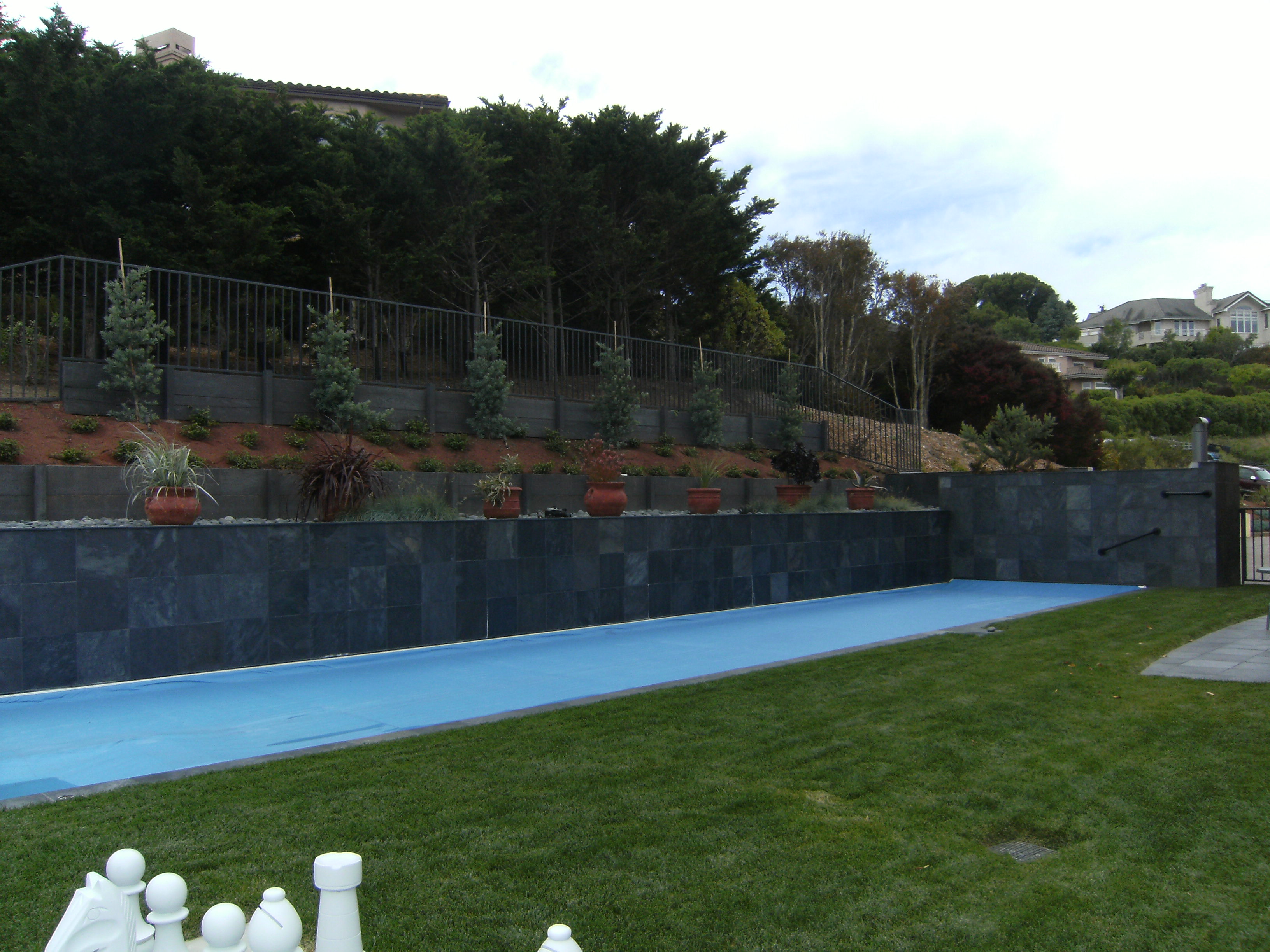 Plants as Sculpture.  Each pot has a different architectural plant