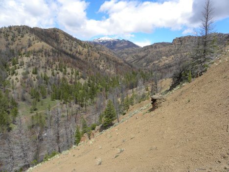 The burn from last summer