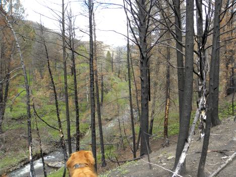 Fire and water.  The West IS fire.