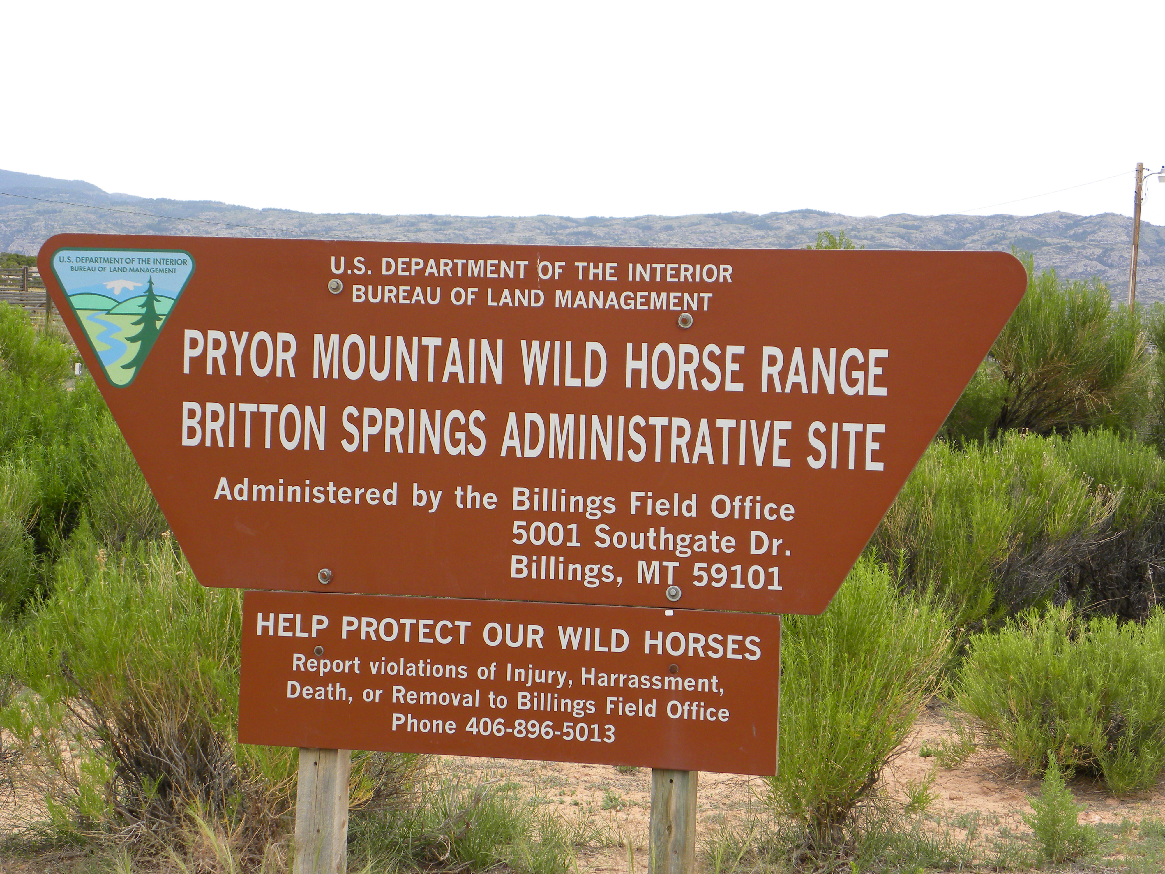 Pryor Mountain Wild Horse Range Pryor Mountain Wild Horse Range