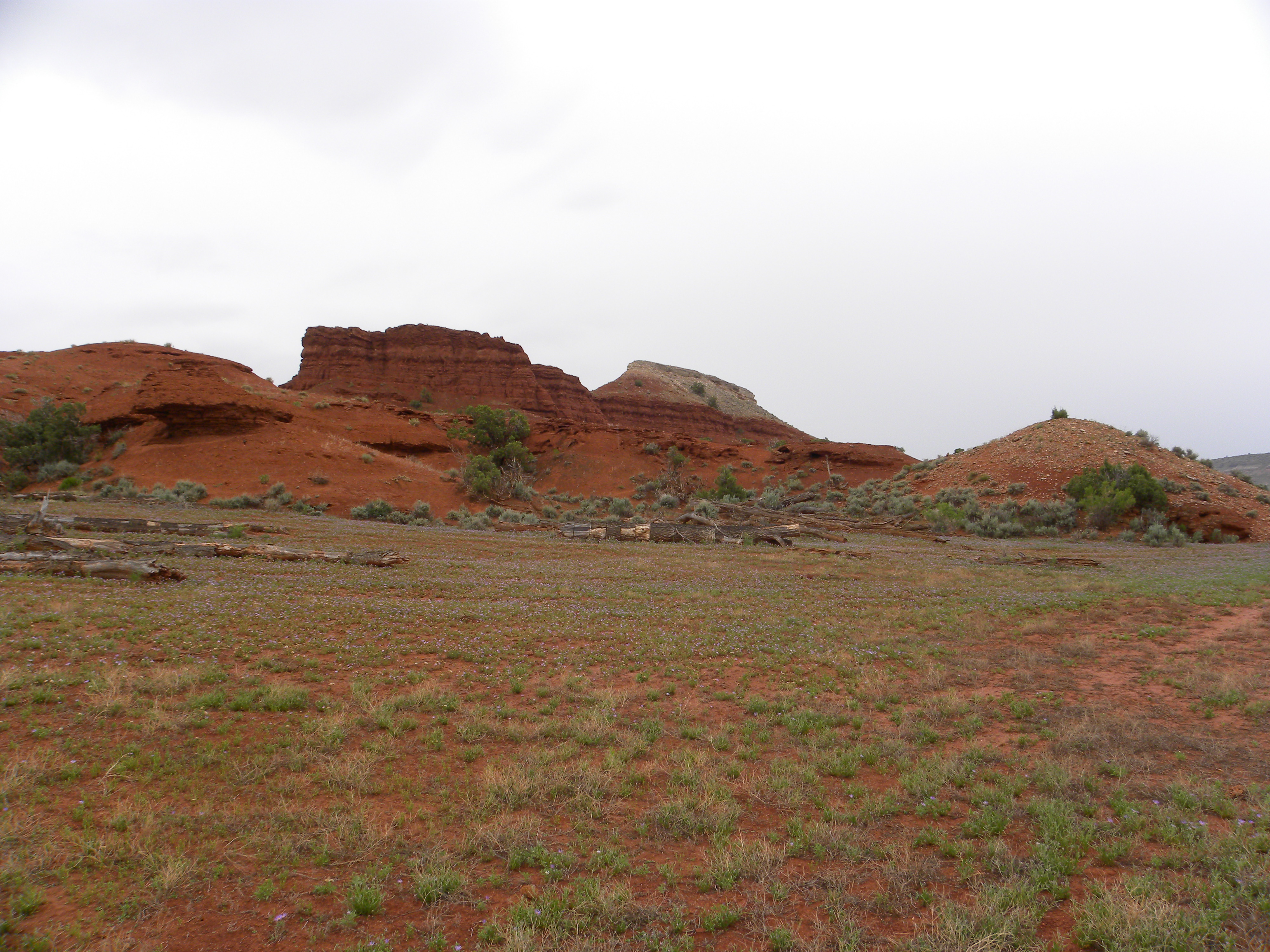 The Pryors The Pryors