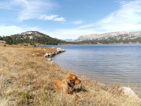 Ahh, not a soul around