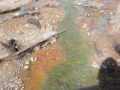 Colors in hot springs