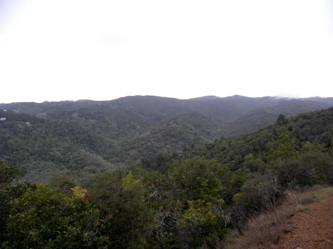 Marin County.  Gateway to lots of hiking, Mt. Tamalpais, Muir Woods.