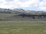 Lamar valley