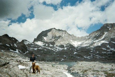 Watch the paws on this kind of stuff