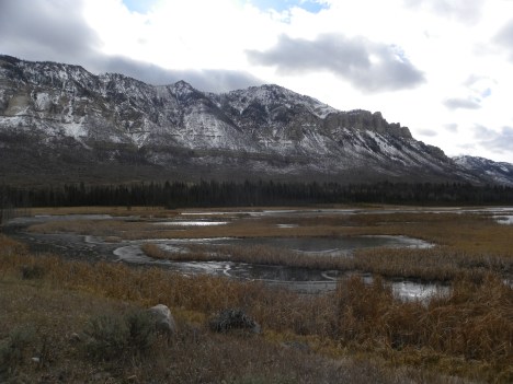 Over 700 acres of wetland lies beneath these cliffs