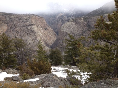 What was the cat doing down here