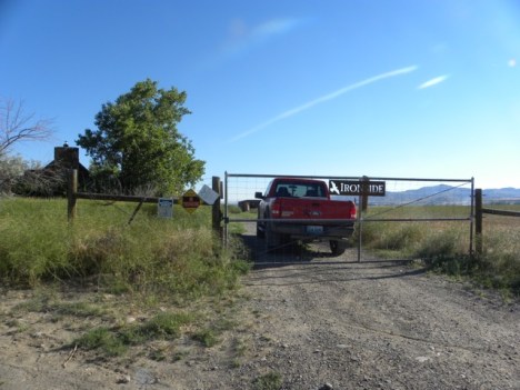 At the Rescue center