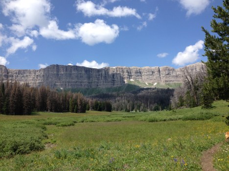 Brooks Lake Western Dunoir area