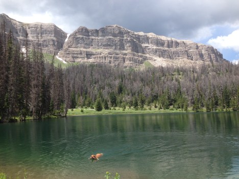 Jade Lake near Bonneville pass in the Dunoir