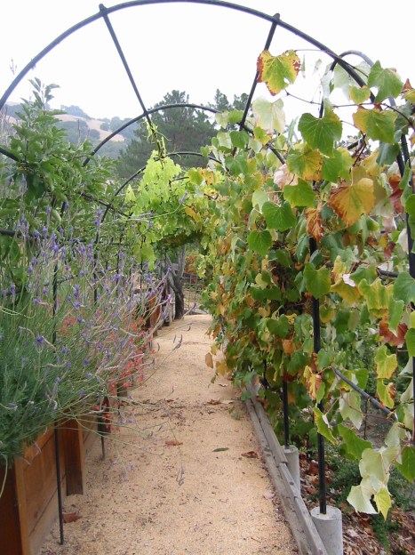 Decomposed granite pathway