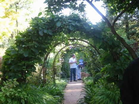 Decomposed granite path