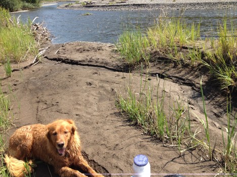 Where I found the tracks.