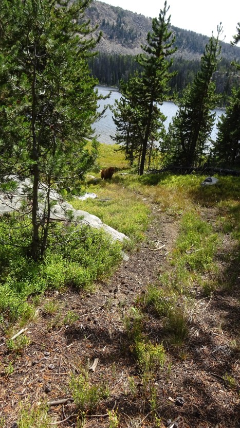 This is an illegal ATV road that follows the northwest boundary of the lake