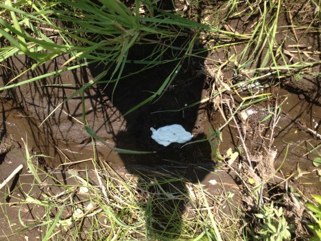 The plaster is setting.  Takes about 15-20 minutes depending upon weather and sun exposure