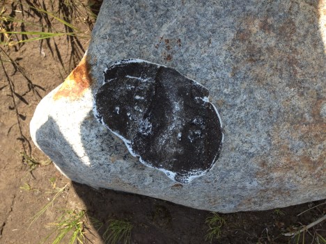 Cast removed from track.  Still fragile