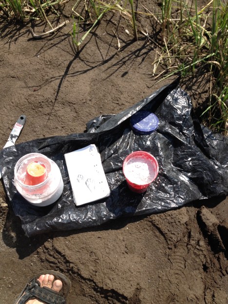 Simple tools you need for your cast