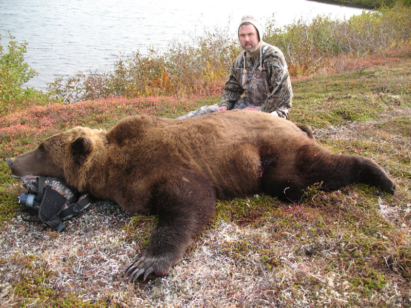 2011_bervik_brown_bear20on20ground