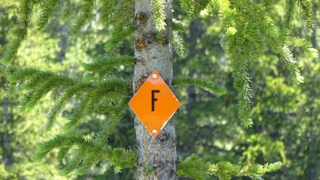 Trail sign. What does an 'F' mean? Anyone know?