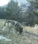 M2E82L225-225R385B328