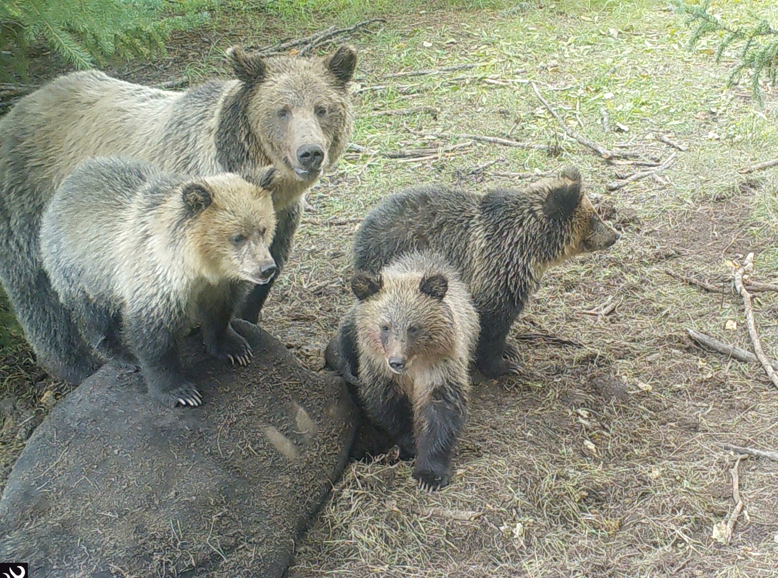 1455:092617:59F:0000:CAMERA1:2