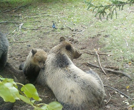 1513:092617:56F:0000:CAMERA1:2