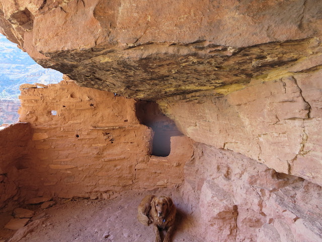 Koda in ancient cave dwelling