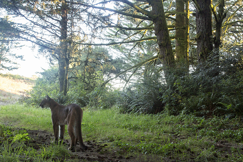 3TrishCarney_PUC_092817_G7A5514-2sm