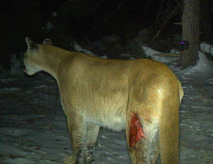 Screen Shot 2020-02-13 at 3.56.58 PM